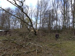 Sturm Emma 01.03.2008